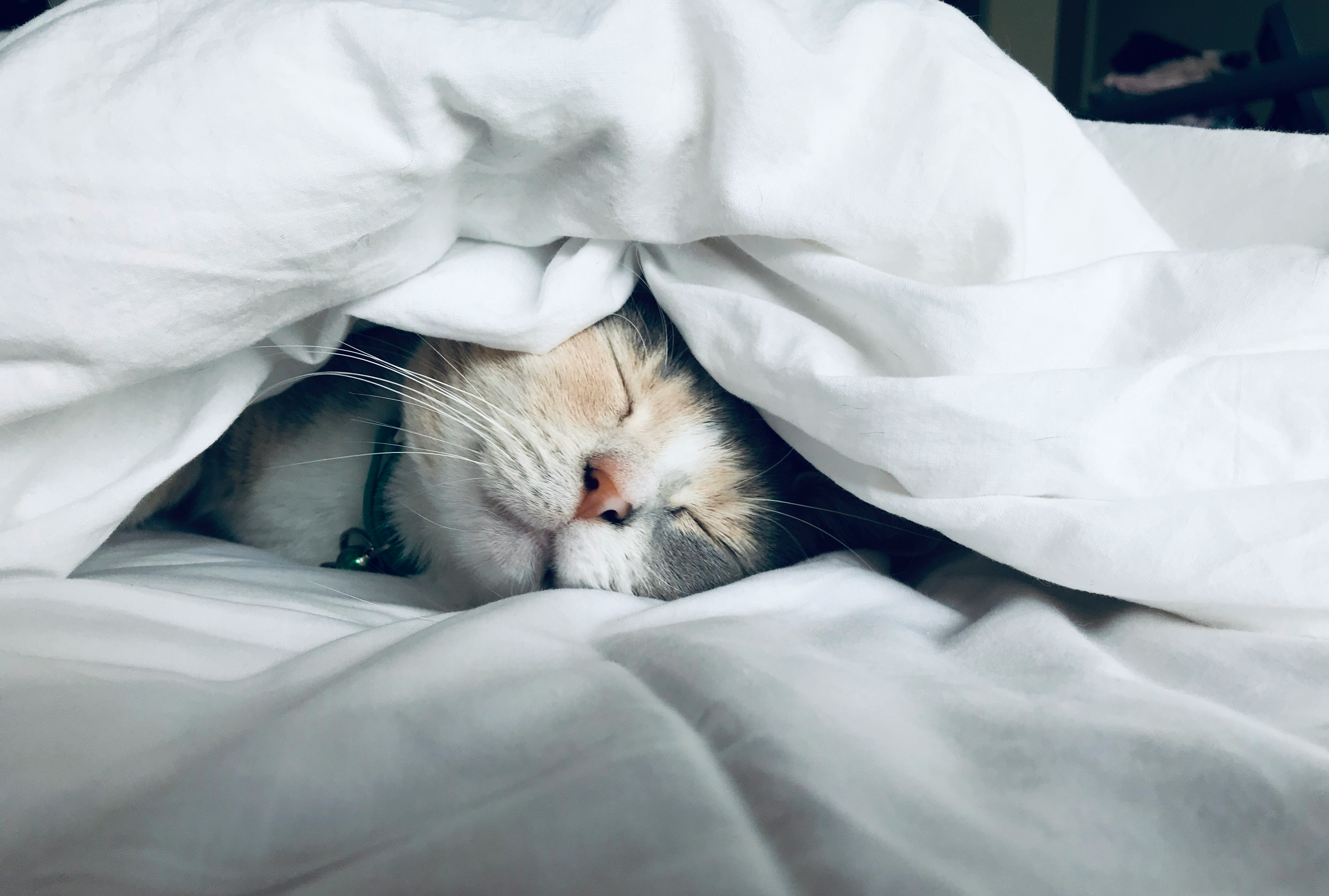 Sleep Hygiene: Practical Tips for Better Rest