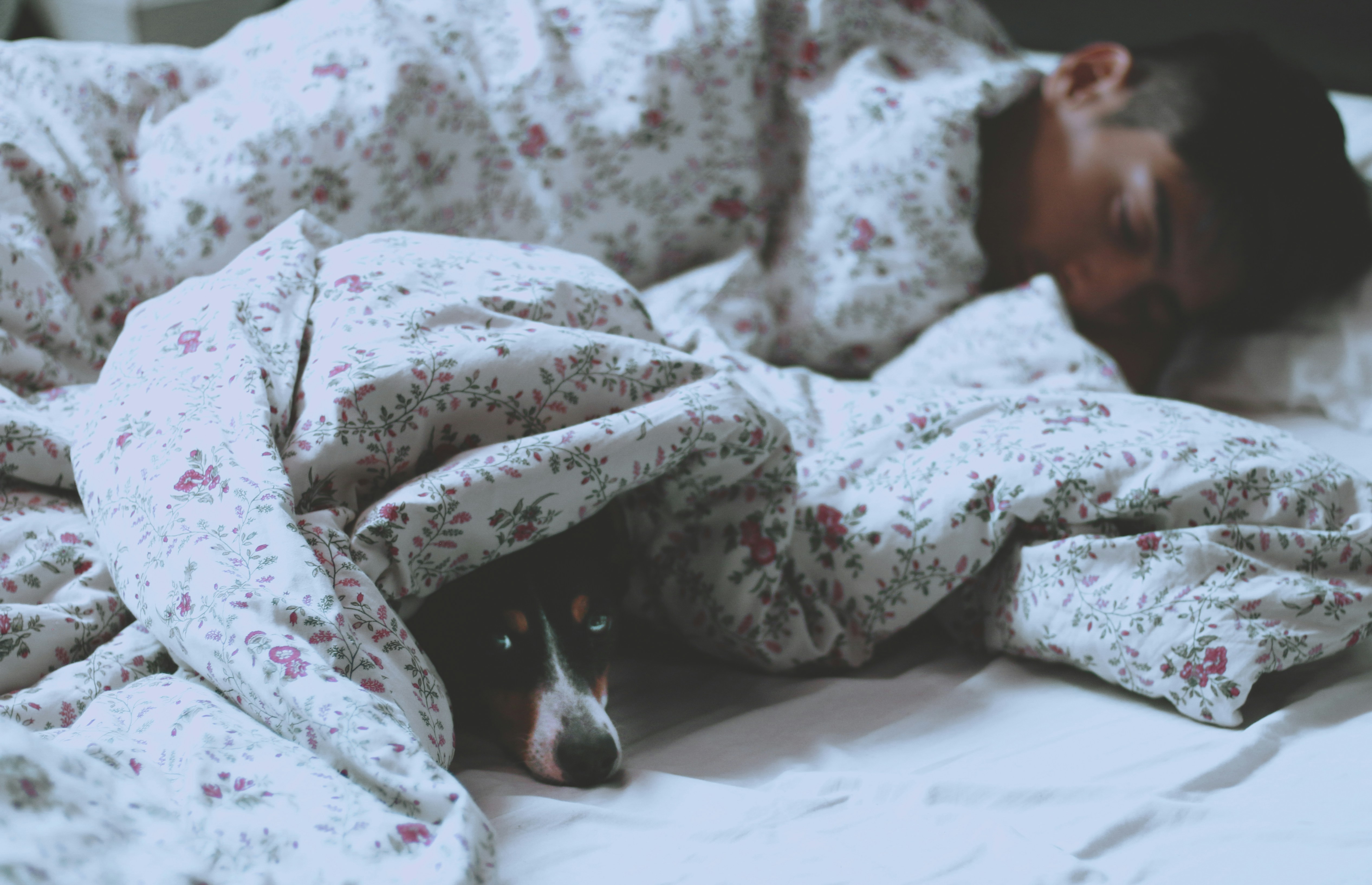 The Sleep and Tech Dilemma: How Gadgets Are Ruining Your Sleep (And How to Fix It!)